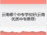 云南哪个中专学校好(云南优质中专推荐)