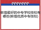 蚌埠最好的中专学校技校有哪些(蚌埠优质中专技校)