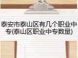 泰安市泰山区有几个职业中专(泰山区职业中专数量)