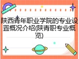 陕西青年职业学院的专业设置概况介绍(陕青职专业概览)