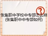 张集职中学校中专部怎么样(张集职中中专部如何)