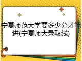 宁夏师范大学要多少分才能进(宁夏师大录取线)