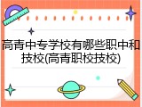 高青中专学校有哪些职中和技校(高青职校技校)