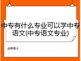 中专有什么专业可以学中专语文(中专语文专业)