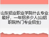 山东铝业职业学院什么专业最好，一年招多少人(山铝职院热门专业招生)