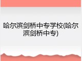哈尔滨剑桥中专学校(哈尔滨剑桥中专)