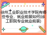 徐州工业职业技术学院有哪些专业，就业前景如何(徐工职院专业就业前景)