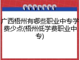 广西梧州有哪些职业中专学费少点(梧州低学费职业中专)