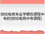 技校电竞专业学哪些课程中专的(技校电竞中专课程)