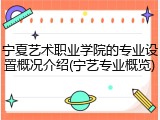 宁夏艺术职业学院的专业设置概况介绍(宁艺专业概览)