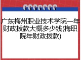广东梅州职业技术学院一年财政拨款大概多少钱(梅职院年财政拨款)