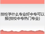 技校学什么专业好中专可以报(技校中专热门专业)