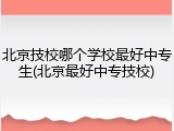北京技校哪个学校最好中专生(北京最好中专技校)