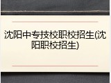 沈阳中专技校职校招生(沈阳职校招生)