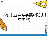 祁东职业中专学费(祁东职专学费)