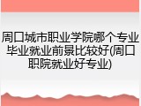 周口城市职业学院哪个专业毕业就业前景比较好(周口职院就业好专业)