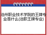 沧州职业技术学院的王牌专业是什么(沧职王牌专业)