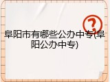 阜阳市有哪些公办中专(阜阳公办中专)