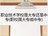 职业技术学校是大专还是中专(职校属大专或中专)