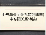 中专毕业团关系转到哪里(中专团关系转接)