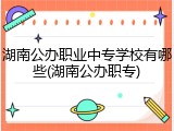 湖南公办职业中专学校有哪些(湖南公办职专)