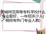 桐城师范高等专科学校什么专业最好，一年招多少人(桐师专热门专业人数)