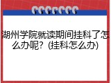 湖州学院就读期间挂科了怎么办呢？(挂科怎么办)