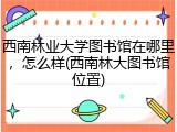 西南林业大学图书馆在哪里，怎么样(西南林大图书馆位置)