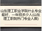 山东理工职业学院什么专业最好，一年招多少人(山东理工职院热门专业人数)