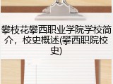攀枝花攀西职业学院学校简介，校史概述(攀西职院校史)