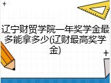 辽宁财贸学院一年奖学金最多能拿多少(辽财最高奖学金)