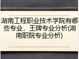 湖南工程职业技术学院有哪些专业，王牌专业分析(湖南职院专业分析)