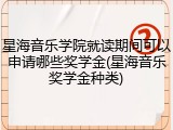 星海音乐学院就读期间可以申请哪些奖学金(星海音乐奖学金种类)