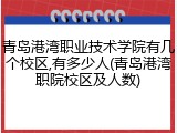 青岛港湾职业技术学院有几个校区,有多少人(青岛港湾职院校区及人数)