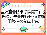 曲靖职业技术学院属于什么档次，专业排行分析(曲靖职院档次专业排名)