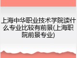 上海中华职业技术学院读什么专业比较有前景(上海职院前景专业)