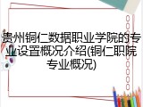 贵州铜仁数据职业学院的专业设置概况介绍(铜仁职院专业概况)