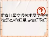 伊春红星交通技术员学校技校怎么样(红星技校好不好)