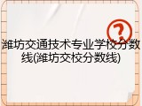 潍坊交通技术专业学校分数线(潍坊交校分数线)