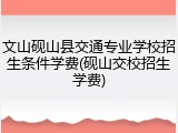 文山砚山县交通专业学校招生条件学费(砚山交校招生学费)