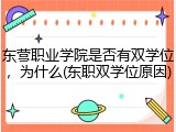 东营职业学院是否有双学位，为什么(东职双学位原因)