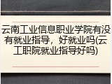 云南工业信息职业学院有没有就业指导，好就业吗(云工职院就业指导好吗)