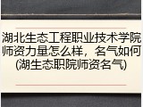 湖北生态工程职业技术学院师资力量怎么样，名气如何(湖生态职院师资名气)