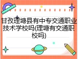 甘孜理塘县有中专交通职业技术学校吗(理塘有交通职校吗)