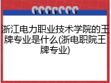 浙江电力职业技术学院的王牌专业是什么(浙电职院王牌专业)