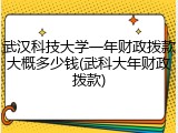 武汉科技大学一年财政拨款大概多少钱(武科大年财政拨款)