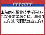 山东商业职业技术学院毕业后就业前景怎么样，毕业生去向(山商职院就业去向)