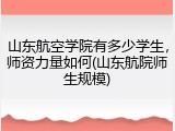 山东航空学院有多少学生，师资力量如何(山东航院师生规模)