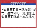 上海震旦职业学院在哪个城市，是本科吗，第几批(上海震旦职院城市本科批次)