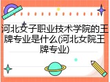 河北女子职业技术学院的王牌专业是什么(河北女院王牌专业)